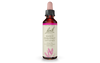 Bach Sweet Chestnut (20ml) - Lifestyle Markets