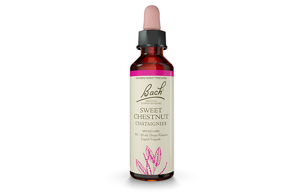 Bach Sweet Chestnut (20ml) - Lifestyle Markets