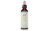 Bach Vervain (20ml) - Lifestyle Markets
