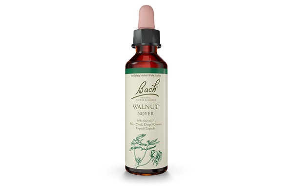 Bach Walnut (20ml) - Lifestyle Markets