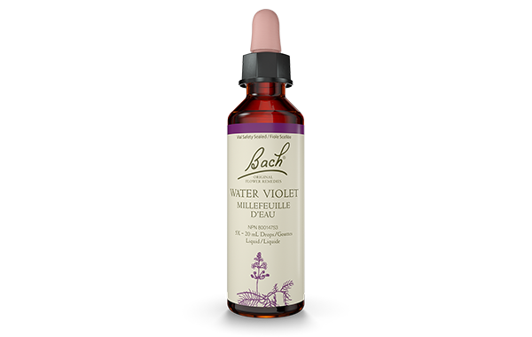 Bach Water Violet (20ml) - Lifestyle Markets
