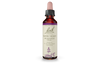 Bach Water Violet (20ml) - Lifestyle Markets