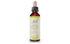 Bach White Chestnut (20ml) - Lifestyle Markets