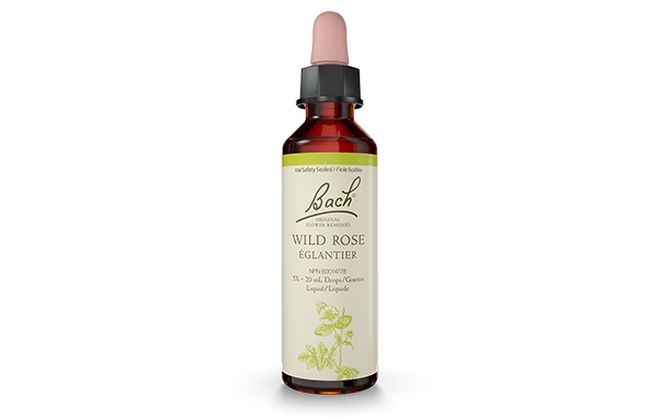 Bach Wild Rose (20ml) - Lifestyle Markets
