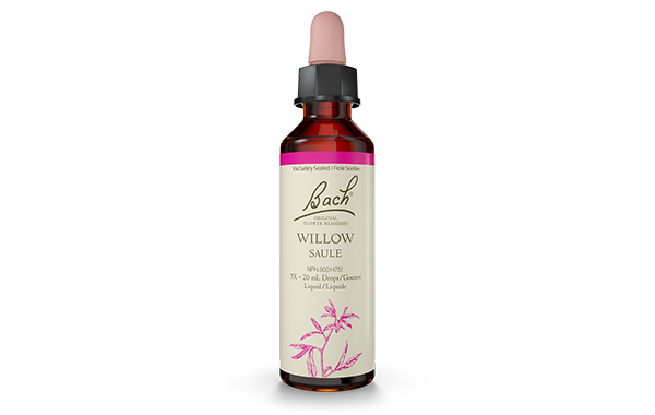 Bach Willow (20ml) - Lifestyle Markets