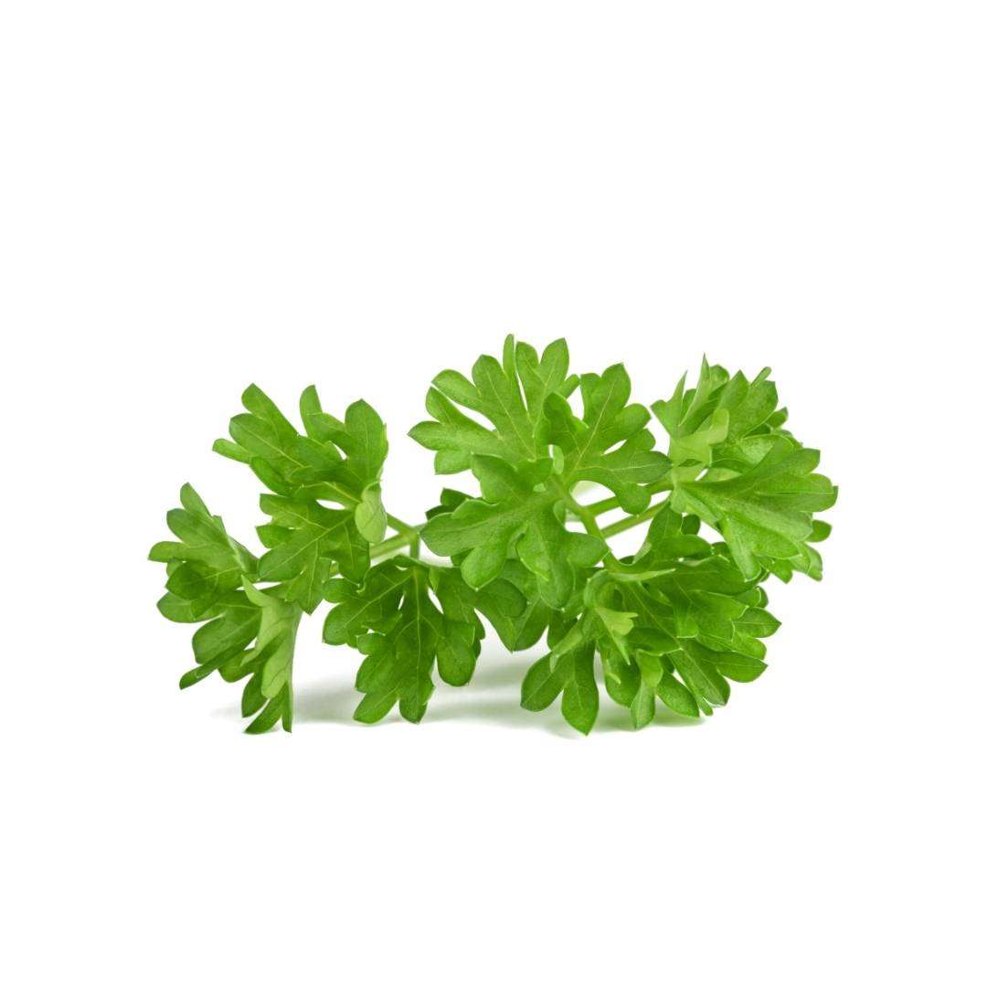 Certified Organic Curly Parsley (bunch) - Lifestyle Markets