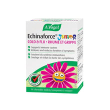 A. Vogel Echinaforce Junior Tablets
