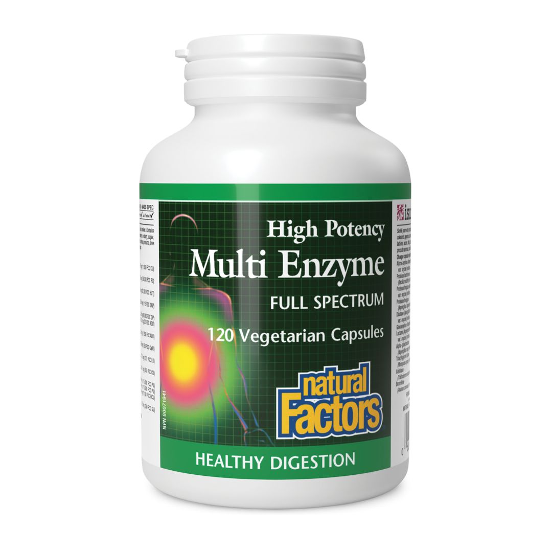 Natural Factors High Potency Multi Enzyme (120 VCaps) - Lifestyle Markets