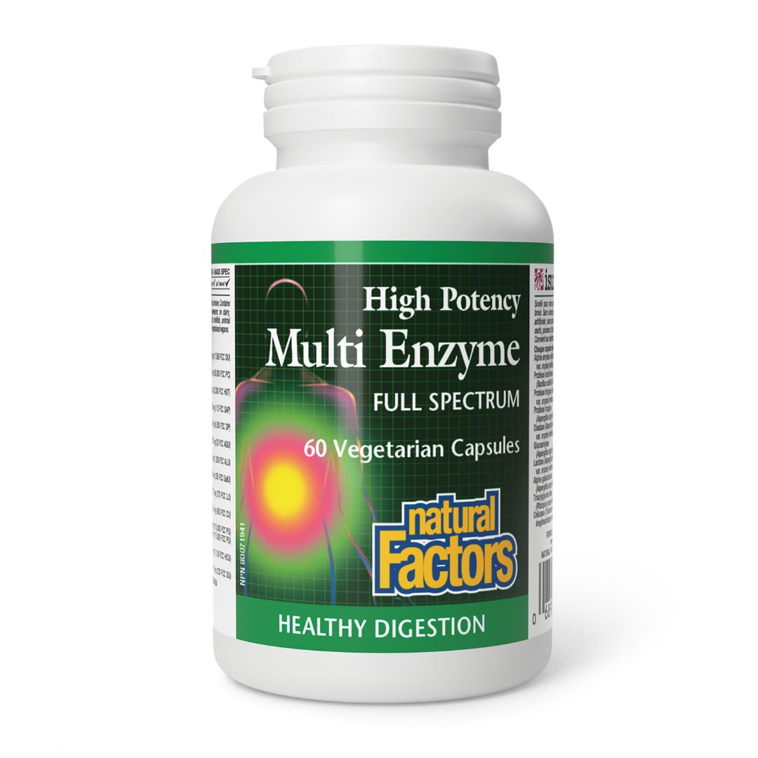 Natural Factors High Potency Multi Enzyme (60 VCaps) - Lifestyle Markets
