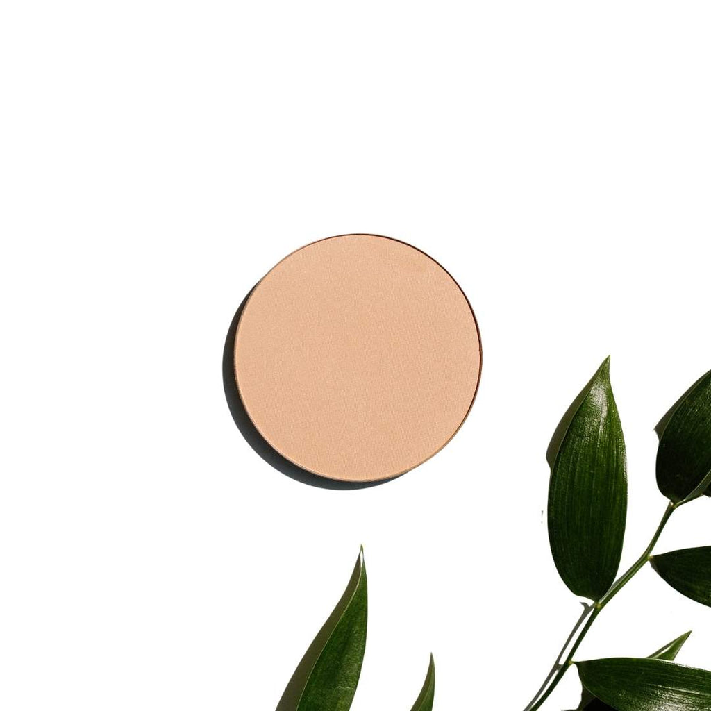 Pure Anada Glow Finishing Powder Translucent - Lifestyle Markets