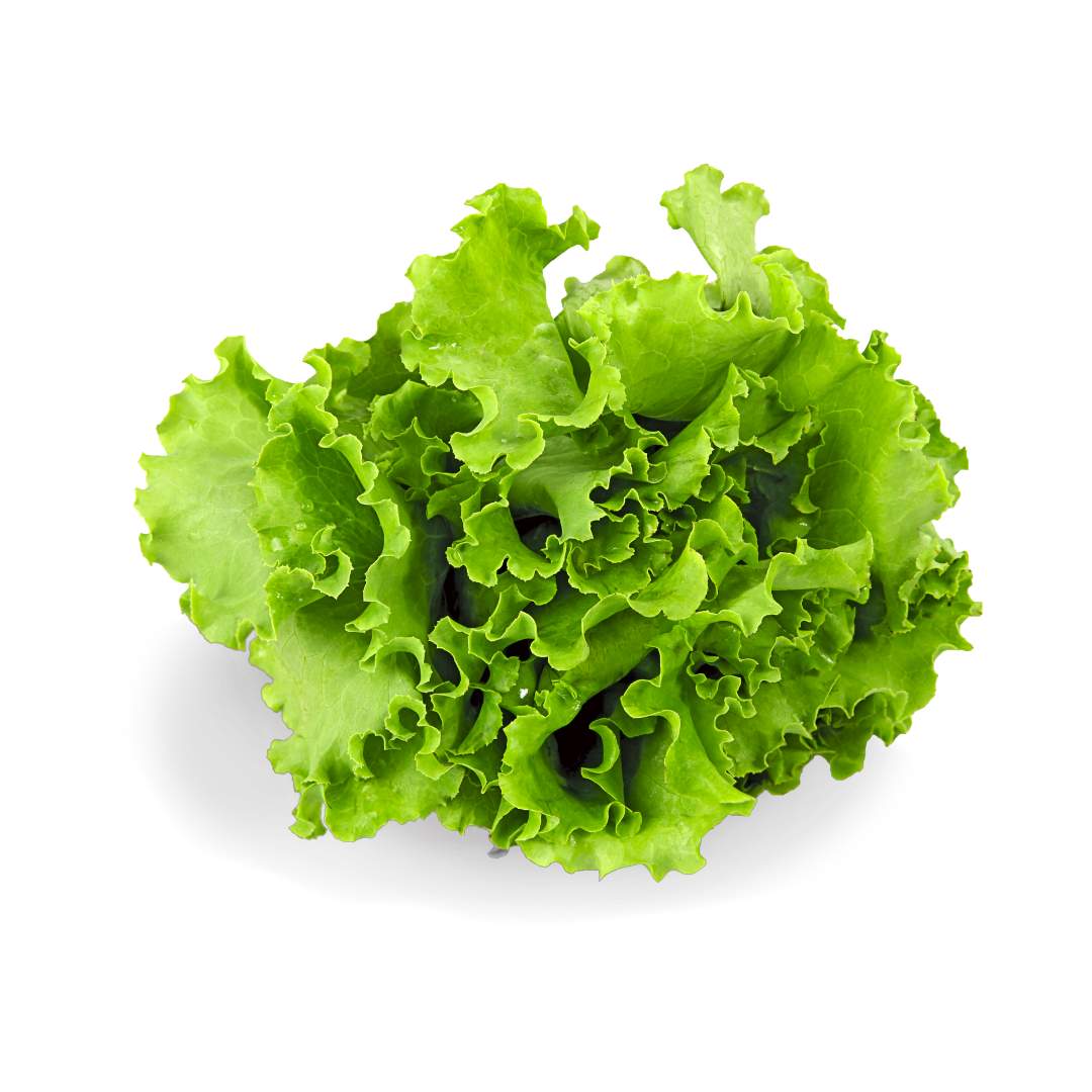 Certified Organic Green Leaf Lettuce (Each) - Lifestyle Markets