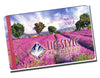 Gift Cards $100 - Lifestyle Markets