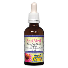 Natural Factors Echinamide Anti-Viral Tincture (50ml) - Lifestyle Markets