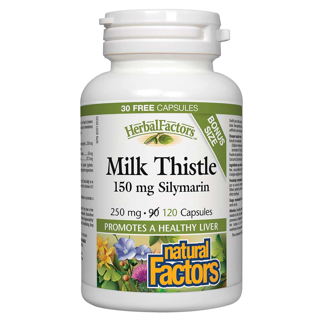 Natural Factors Milk Thistle 150mg Silymarin (BONUS) (120 Capsules) - Lifestyle Markets
