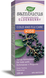 Nature's Way Sambucus Kids Cold & Flu Care Syrup (120ml) - Lifestyle Markets
