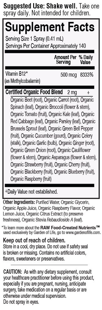 mykind Organics Vegan B-12 Spray (58ml) - Lifestyle Markets