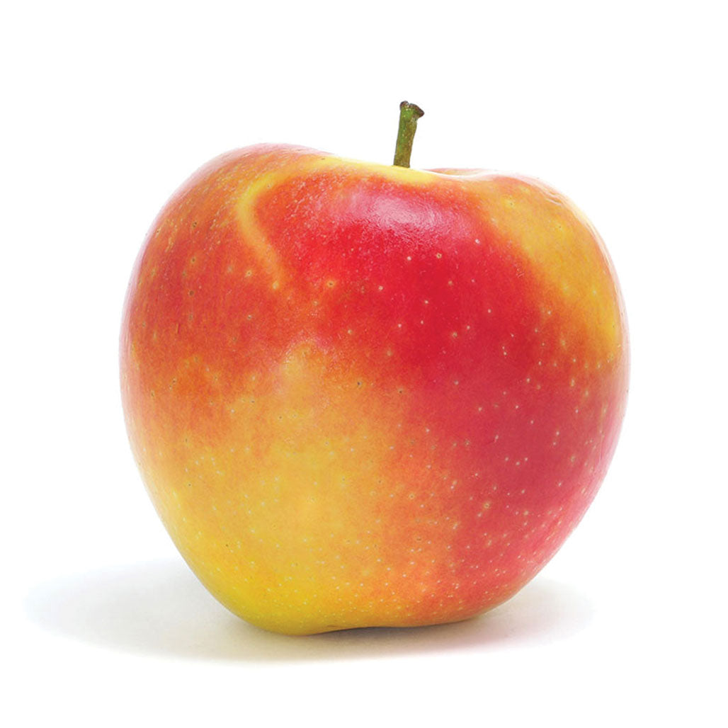 Certified Organic Ambrosia Apples (3 lb. bag) - Lifestyle Markets