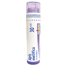 Boiron Apis Mellifica 30CH (80 Pellets) - Lifestyle Markets