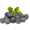 Certified Organic Blueberries (approx 170g) - Lifestyle Markets