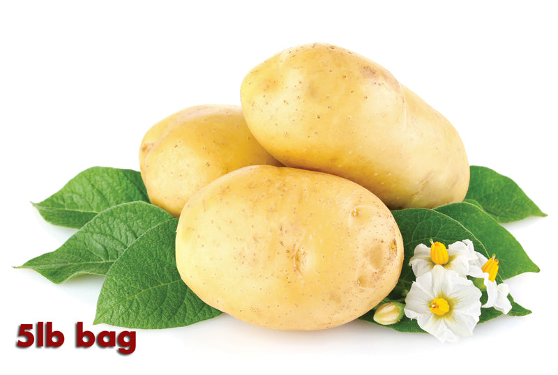 Certified Organic Yellow Potatoes 5lbs. (2.27kg bag) - Lifestyle Markets