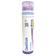 Boiron Causticum 30CH (80 Pellets) - Lifestyle Markets