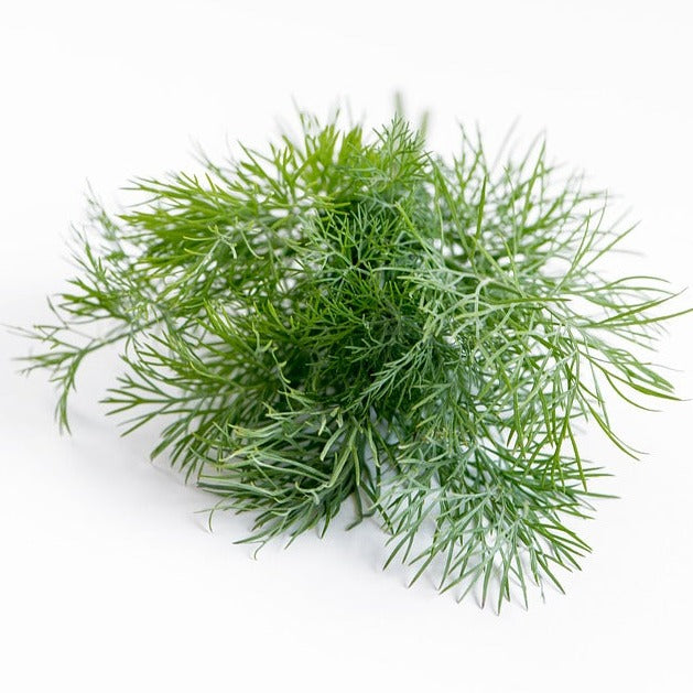 Certified Organic Baby Dill (Each) - Lifestyle Markets
