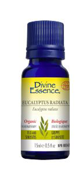 Divine Essence Organic Eucalyptus Radiata (15ml) - Lifestyle Markets