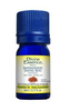 Divine Essence Wild Sandalwood (5ml) - Lifestyle Markets
