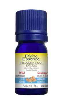 Divine Essence Wild Frankincense - Somalia (5ml) - Lifestyle Markets