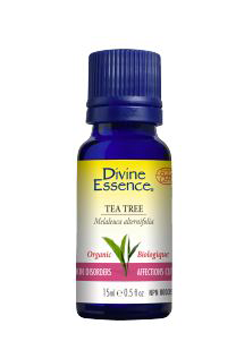 Divine Essence Organic Tea Tree Oil (15ml) - Lifestyle Markets