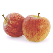 Certified Organic Gala Apple (1kg) - Lifestyle Markets