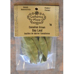 Gathering Place Canadian Grown Bay Leaf (3g) - Lifestyle Markets