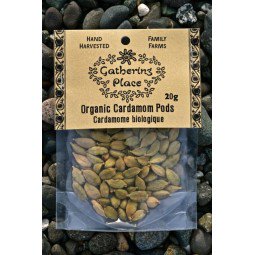 Gathering Place Organic Cardamom Pods (20g) - Lifestyle Markets