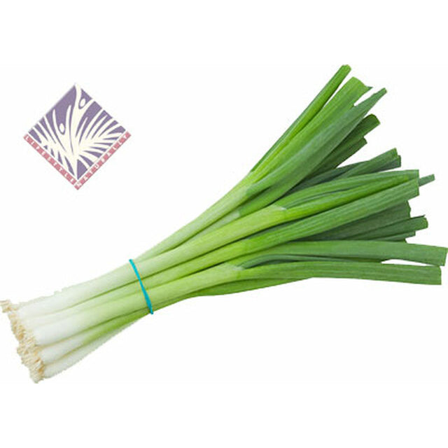 Certified Organic Green Onions (Bunch) - Lifestyle Markets