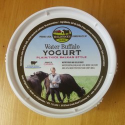 McClintock's Farm Water Buffalo Yogurt Plain/Thick Balkan Style (500g) - Lifestyle Markets