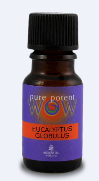 Pure Potent WOW Pure Essential Oil - Eucalytus Glabulus (12ml) - Lifestyle Markets