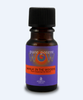 Pure Potent WOW Essential Oil Blend - Walk in the Woods (12ml) - Lifestyle Markets