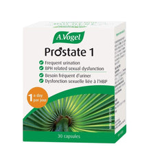 A. Vogel Prostate 1 - Lifestyle Markets