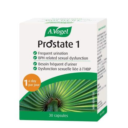 A. Vogel Prostate 1 - Lifestyle Markets