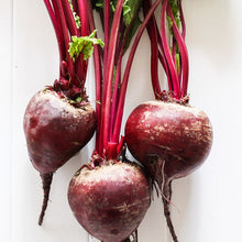 Longview Farms Red Beet Bunch ( Each) - Lifestyle Markets