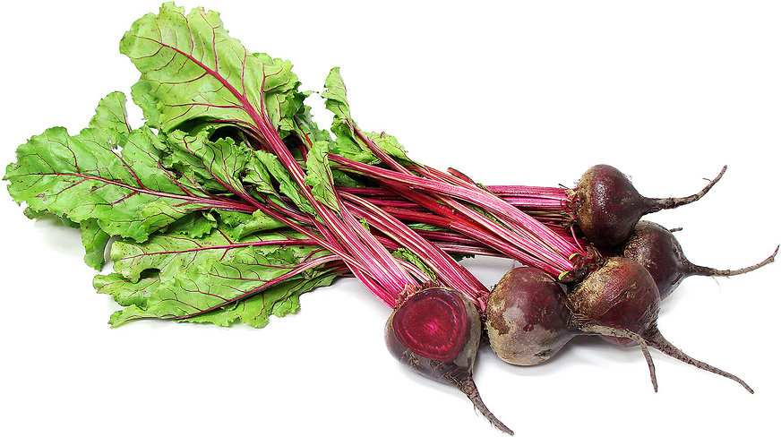 Red Beet Bunch (Each) - Lifestyle Markets