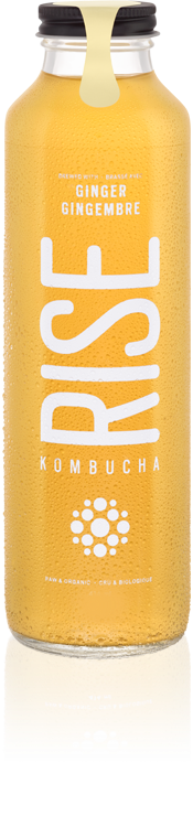 Rise Kombucha - Ginger (1L) - Lifestyle Markets