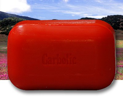 The Soap Works Carbolic Bar Soap (110g) - Lifestyle Markets