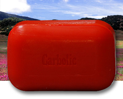 The Soap Works Carbolic Bar Soap (110g) - Lifestyle Markets