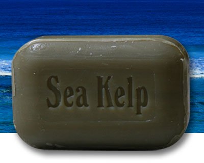 The Soap Works Sea Kelp Bar Soap (110g) - Lifestyle Markets