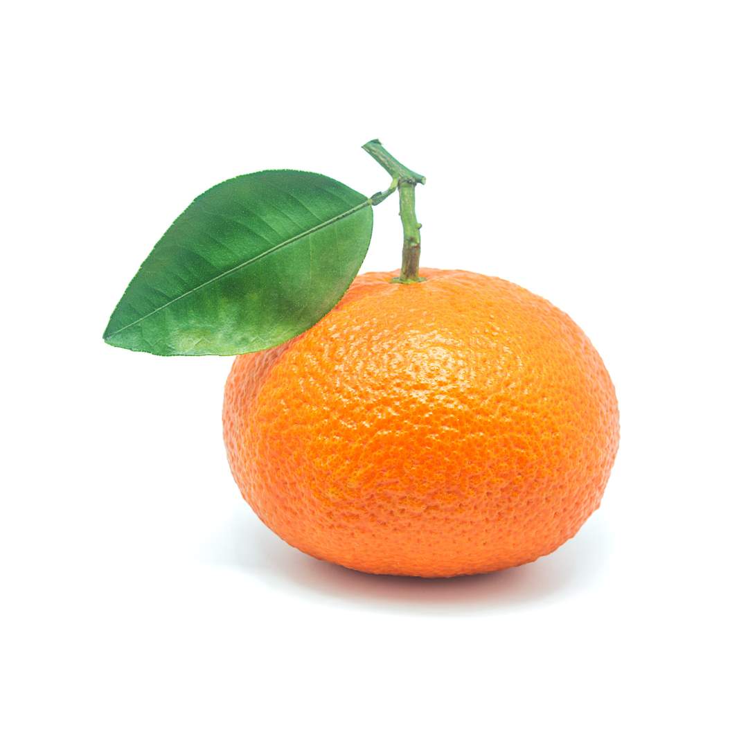 Certified Organic Valencia Orange (4 lb. bag) - Lifestyle Markets